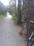 20150531_091108.jpg