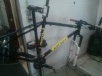 2015-06-01.jpg