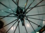 20150602_082537.jpg