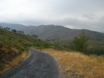 DSC02103_resize.JPG