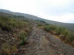 DSC02112_resize.JPG