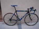 de rosa 001.jpg