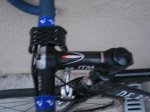 de rosa 012.jpg