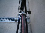 de rosa 013.jpg