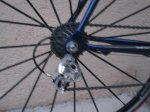 de rosa 005.jpg