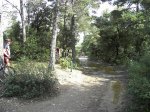 PICT2037 (Medium).JPG