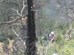 IMG_9924.JPG