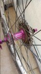20150530_172613.jpg