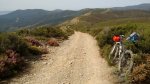 IMG_20150513_105733705.jpg