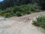 20150605_115205.jpg