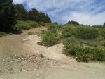 20150605_115223.jpg