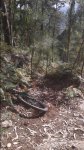 20150605_194824.jpg