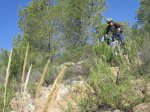 IMG_9965.JPG