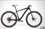 Bici rose.jpg