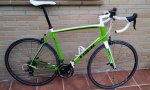 madone.jpg