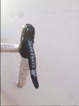 image11.jpeg
