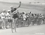 hayman-sidi-620.jpg