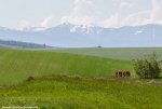 mavic-launch16-mtnview.jpg