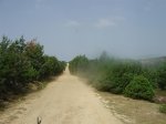 DSC02701 (Medium).JPG