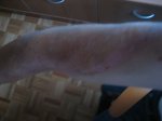 IMG_0235 [Resolucion de Escritorio].jpg