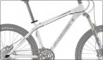 sc_chameleon 550â¬.jpg