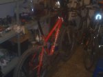 IMAG0083.JPG