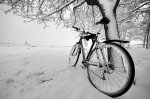 bicinieve.jpg