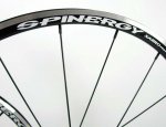 spin1.jpg