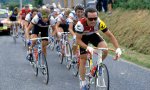 summer-riding-hinault.jpg