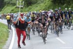 suisse15st5-didi-big.jpg