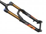 fox talas 36.jpg