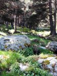 IMG_20150509_114108.jpg