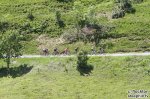 IMG_3231.jpg