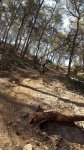 IMG-20150530-WA0014.jpg