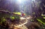 GOPR1130.MP4_snapshot_00.01_[2015.06.23_13.58.03].jpg