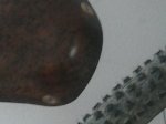 CAM00159.jpg