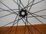 DSCN5339.JPG