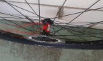 20150624_172115.jpg