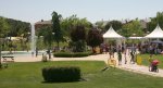 baltasara.jpg