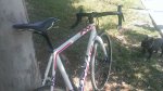 2015-06-27 11.47.25.jpg
