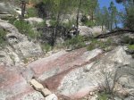 IMG_0103.JPG