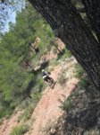 IMG_0153.JPG