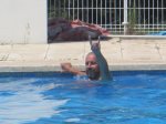 IMG_0171.JPG