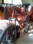 ktm1nr0.jpg