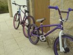 DSC00236.JPG