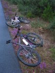 FORO MTB12.jpg