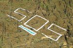 activistas-de-greenpeace-traza.jpg
