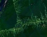 Amazonie_deforestation.jpg