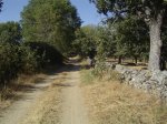 Bejar 002 (Small).jpg