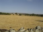 Bejar 004 (Small).jpg